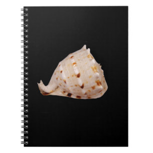 Caderno Espiral Notebook Conch Shell Photo