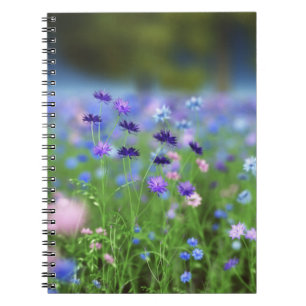 Caderno Espiral Notebook Cornflower Blue