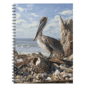 Caderno Espiral Notebook Costeiro Pelican Seashell Beach