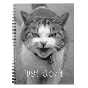 Caderno Espiral Notebook Crabby Cat