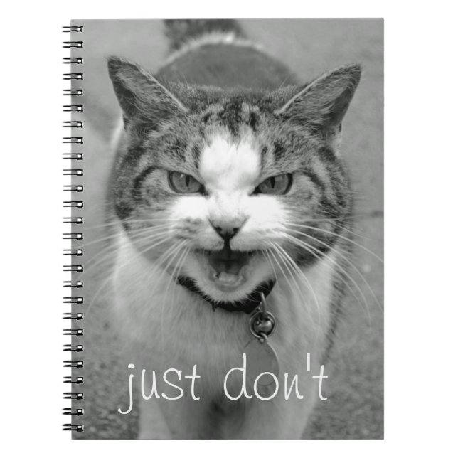 Caderno Espiral Notebook Crabby Cat (Frente)