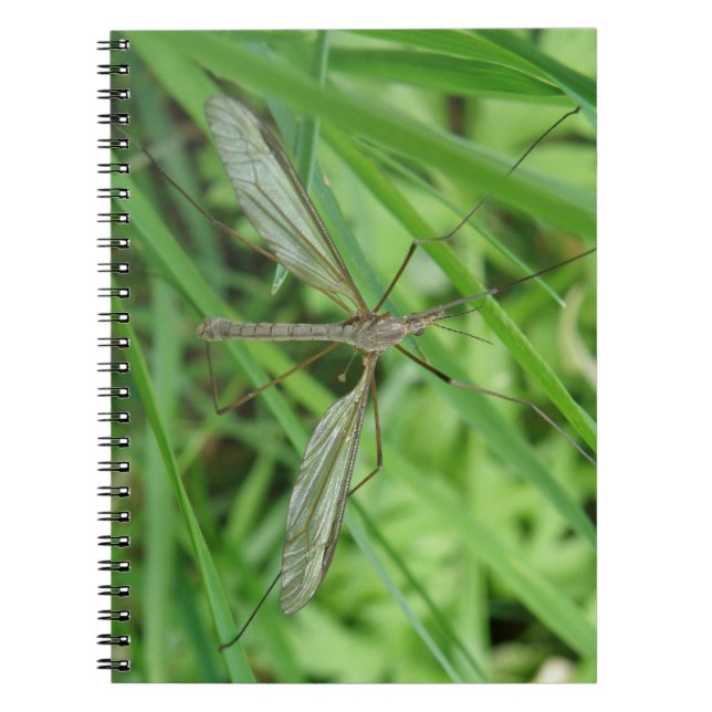 Caderno Espiral Notebook Crane Fly (Frente)