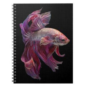 Caderno Espiral Notebook Crimson Betta Fish Grace