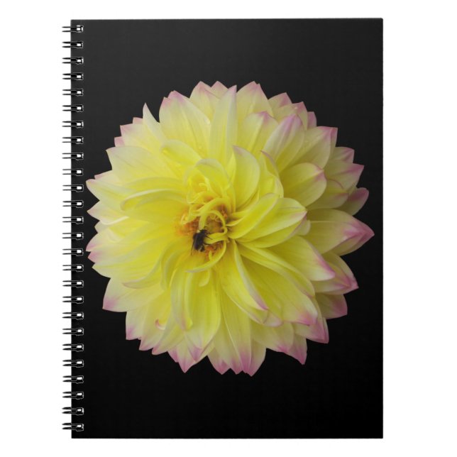 Caderno Espiral Notebook Dahlia Flower (Frente)
