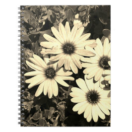 Caderno Espiral Notebook Daisy Flower Sepia