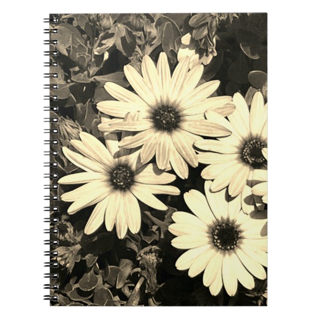 Caderno Espiral Notebook Daisy Flower Sepia (Frente)