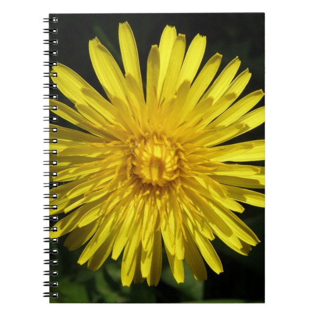 Caderno Espiral Notebook Dandelion (Frente)