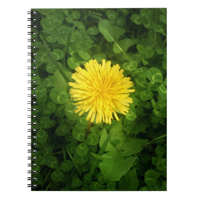 Caderno Espiral Notebook Dandelion (Frente)