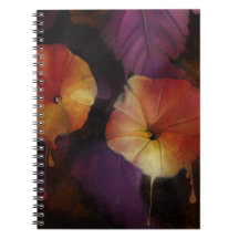 Notebook das flores da glória da manhã
