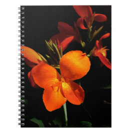 Caderno Espiral Notebook Dazzling Orchid