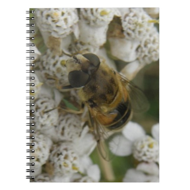 Caderno Espiral Notebook de abelhas e flores (Frente)