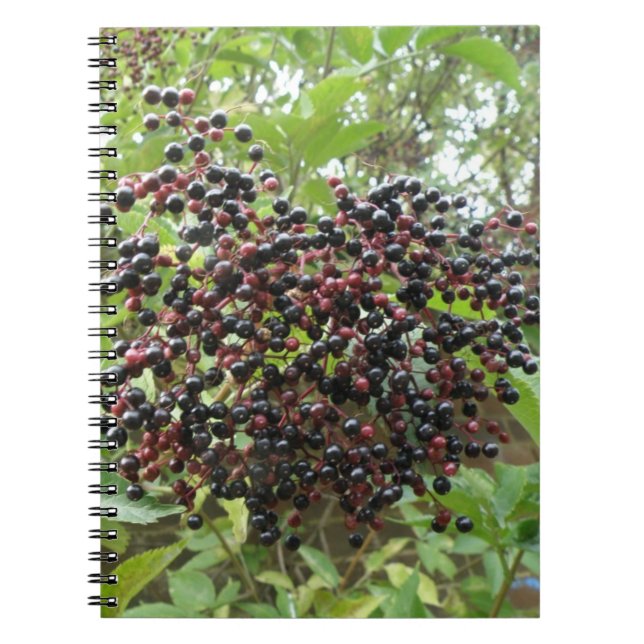 Caderno Espiral Notebook de amoras silvestres (Frente)