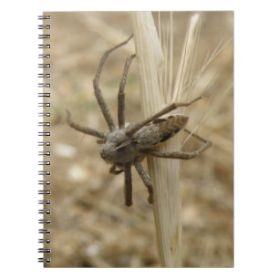 Caderno Espiral Notebook de aranha assustador
