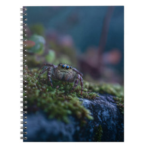Caderno Espiral Notebook de aranha saltando