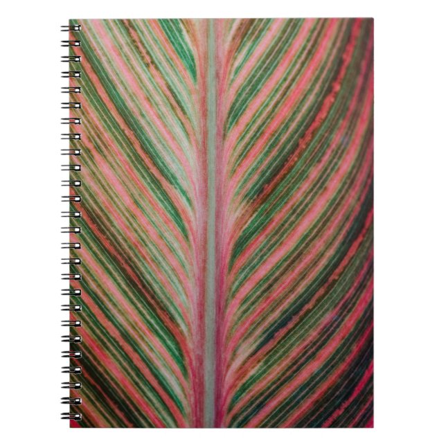 Caderno Espiral Notebook de Arte (Frente)