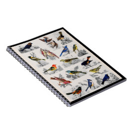 Caderno Espiral Notebook de aves movidas