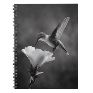 Caderno Espiral Notebook de Bebendo Hummingbird