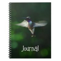 Notebook de beija-flor bonito no Diário de voo