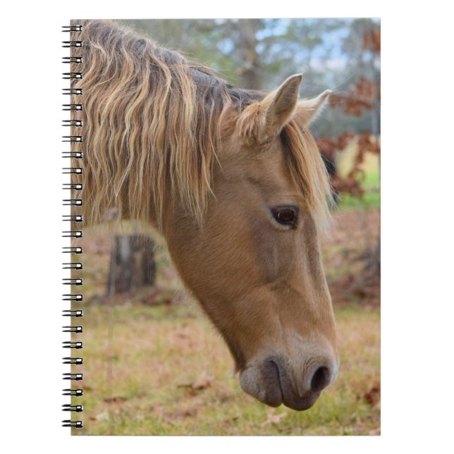 Caderno Espiral Notebook de Bela Loura (Frente)