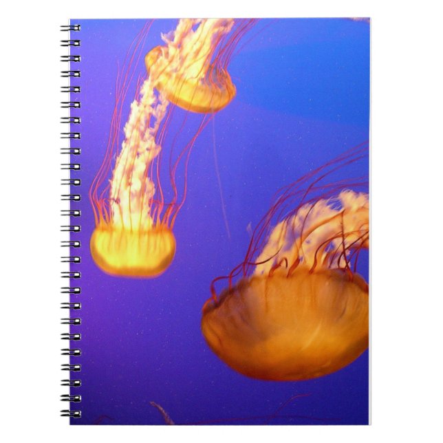 CADERNO ESPIRAL NOTEBOOK DE BOLO DE JELLYFISH SPIRAL DE FLUXO (Frente)