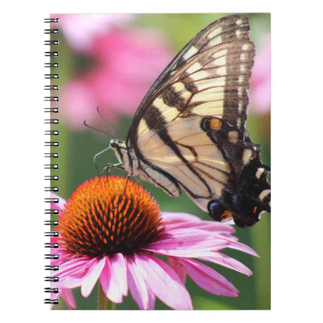 Caderno Espiral Notebook de borboleta de Swallowtail Amarela (Frente)