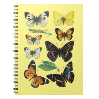Caderno Espiral Notebook de borboleta governado pela faculdade
