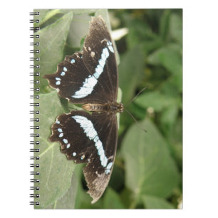 Caderno Espiral Notebook de borboleta tropical preto e branco