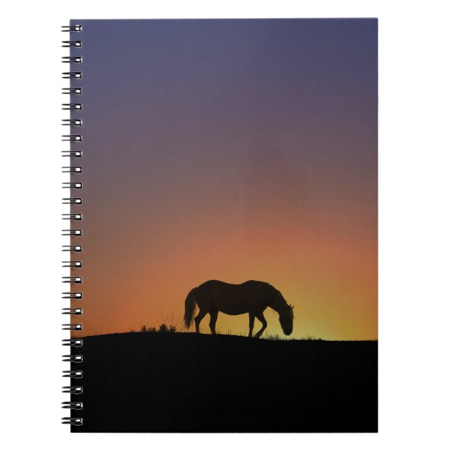 Caderno Espiral Notebook de cavalo bonito no Sudoeste do Sol (Frente)