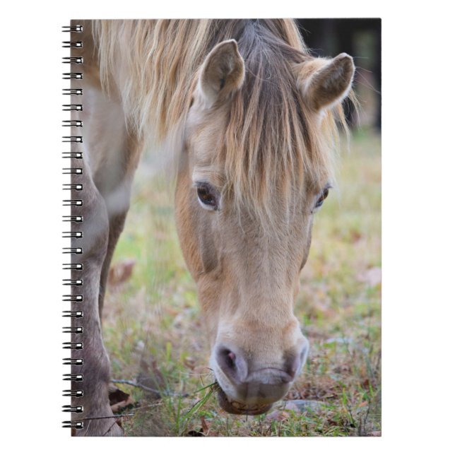 Caderno Espiral Notebook de cavalo loiro (Frente)