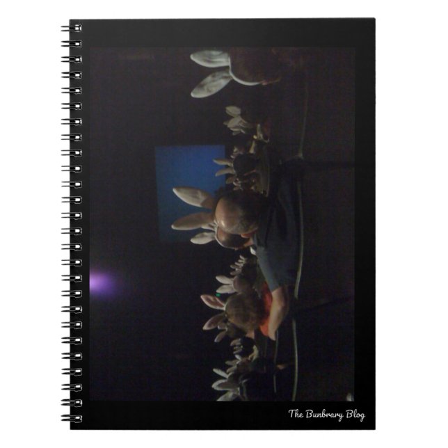 Caderno Espiral Notebook de cinema de coelho (Frente)