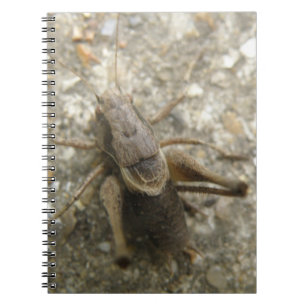 Caderno Espiral Notebook de críquete de campo marrom
