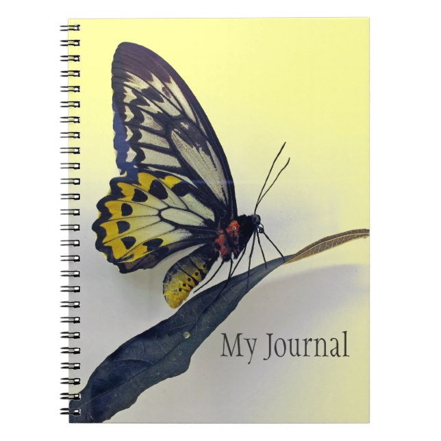 Caderno Espiral Notebook de Diário borboleta embutida por espiral (Frente)