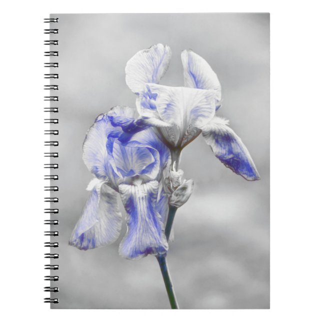 Caderno Espiral Notebook de Diário de Arte Flor Iris Azul (Frente)