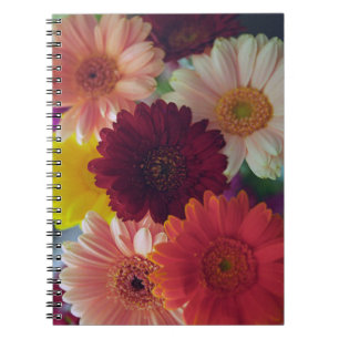 Caderno Espiral Notebook de Diário de Fotografia da Gerbera Daisy
