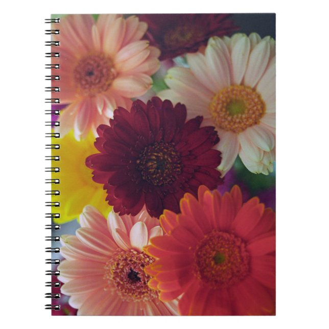 Caderno Espiral Notebook de Diário de Fotografia da Gerbera Daisy  (Frente)