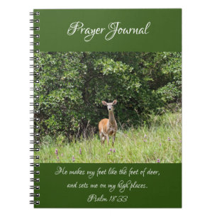 Caderno Espiral Notebook de Diário de Prece Selvagem