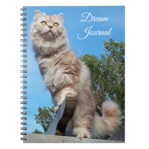 Caderno Espiral Notebook de Diário de Sonho de Cabelo de Palha Br