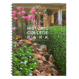 Caderno Espiral Notebook de Diário/notebook