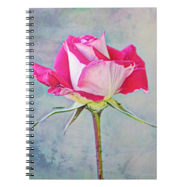 Caderno Espiral Notebook de Diário Rosa Rosa Rosa Rosa Belo (Frente)