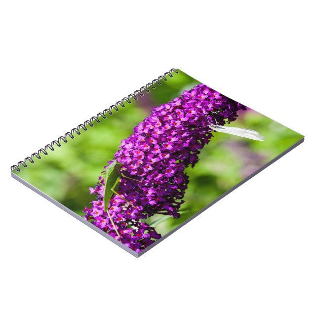 Caderno Espiral notebook de energia katydid (Left Side)
