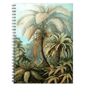 Caderno Espiral Notebook de Ernst Haeckel como Filicinae (Tree Fer