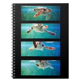 Caderno Espiral Notebook de Estudo das Tartarugas do Mar Loggerhea