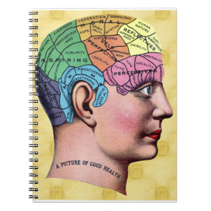 Caderno Espiral Notebook de fenologia