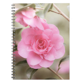 Caderno Espiral Notebook de Flor de Camela Rosa Suave