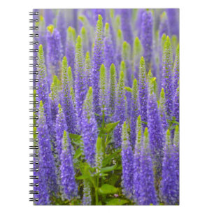 Caderno Espiral Notebook de flor roxa