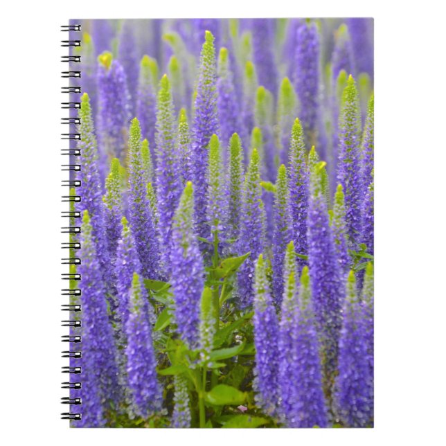 Caderno Espiral Notebook de flor roxa (Frente)