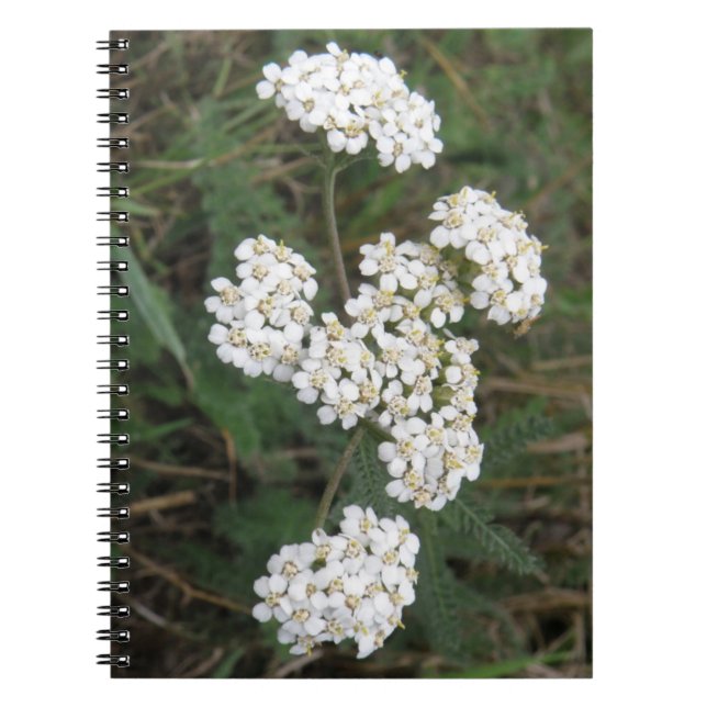 Caderno Espiral Notebook de flores silvestres brancas (Frente)