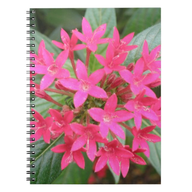 Caderno Espiral Notebook de flores tropicais cor-de-rosa brilhante (Frente)