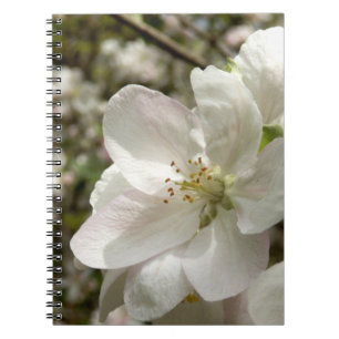 Caderno Espiral Notebook de fotos do Apple Blossom