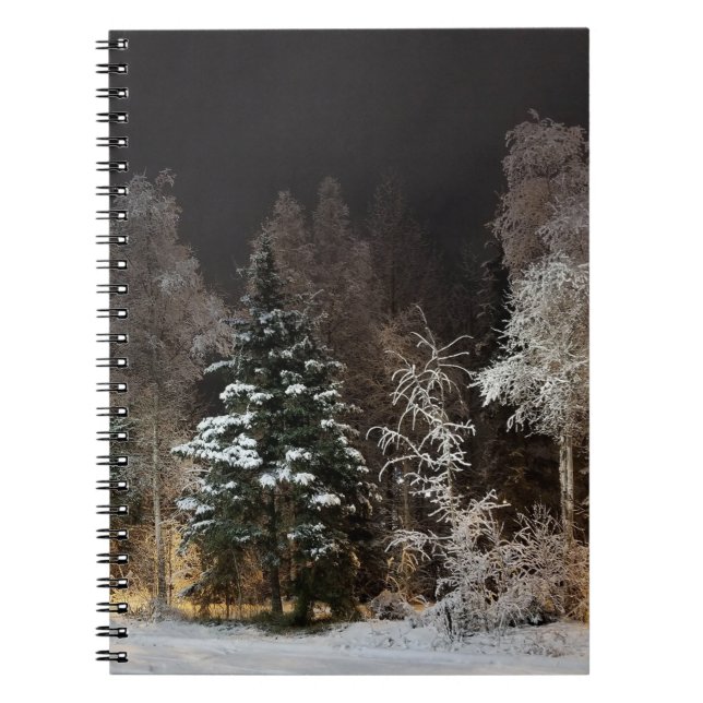 Caderno Espiral Notebook de fotos espirais no Alaska Winter Night (Frente)